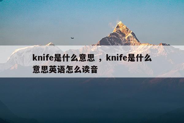 knife是什么意思中文怎么读