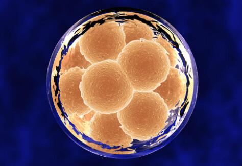 有褐色血说明胚胎已经生化吗？棕色血液是否意味着胚胎是生化了？