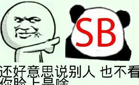 SB是什么意思（什么是sb）