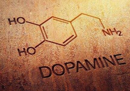 多巴胺是什么东西（多巴胺对人体的作用）