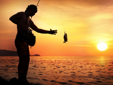 钓鱼的方法有哪几种（钓鱼的操作步骤和技巧）