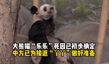 大熊猫“乐乐”死因已初步确定