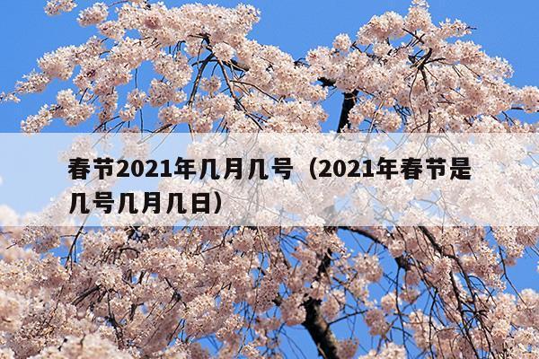 春节2023年联欢晚会节目单