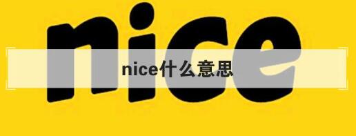 nice是什么中文意思，nice的中文含义（nice是赞扬某人高超的游戏技巧）