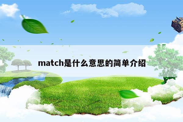 match是什么意思的简单介绍