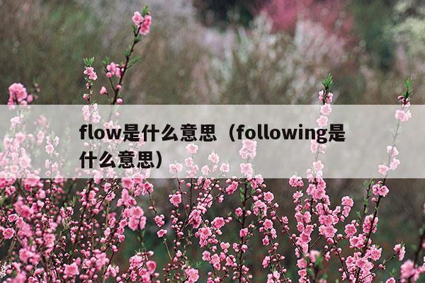 flow是什么意思中文翻译