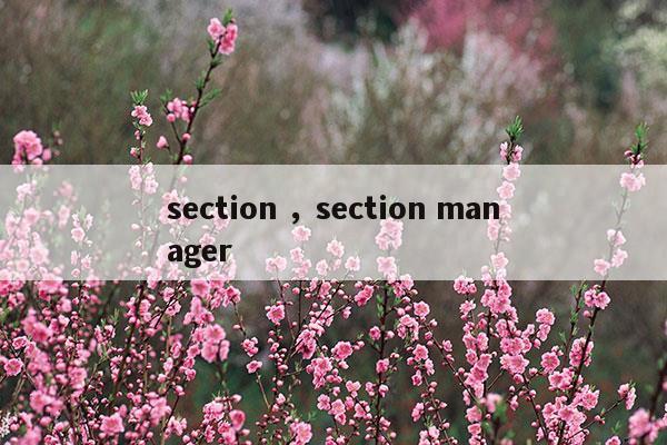sectionsectionmanager