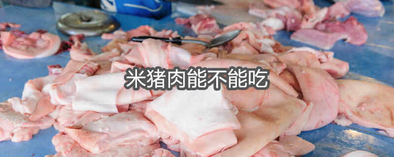 米猪肉的图片