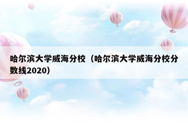 哈尔滨大学威海分校分数线2021