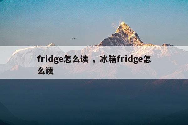 refrigerator与fridge的区别