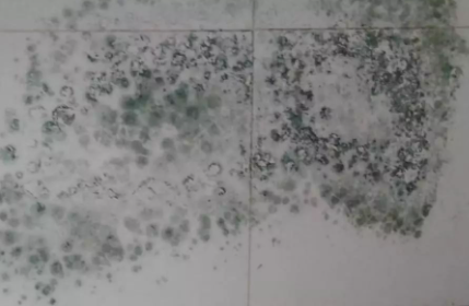 浴室瓷砖有黑斑点怎么清除