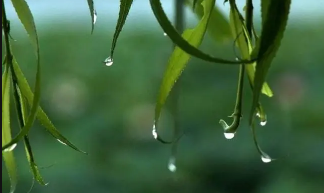 湖南梅雨季节是几月份到几月份结束