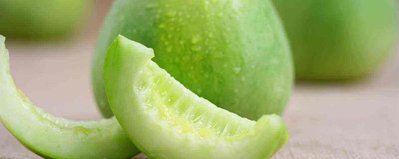 香瓜的养殖方法视频