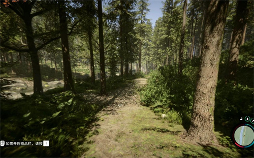 森林之子游戏介绍